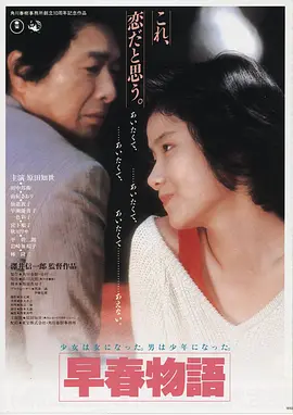 关山飞渡 海报